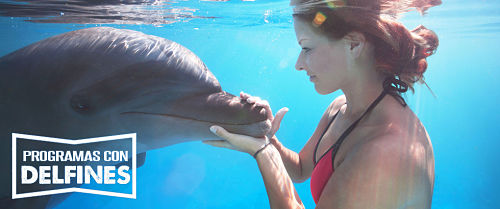 delfin